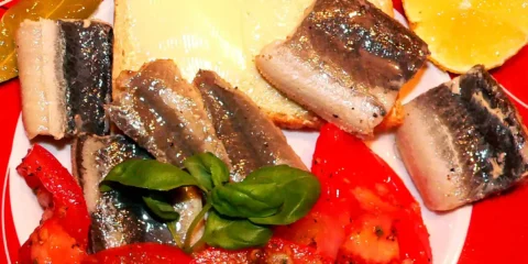 Aal in Weißweinessigmarinade